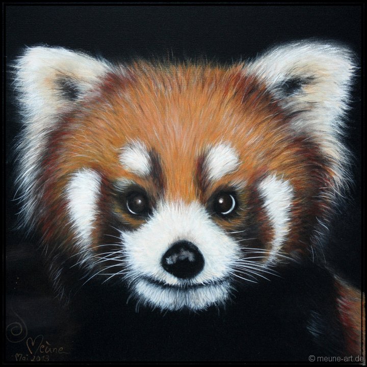 Roter Panda 1 Acryl auf Leinwand;
60 x 60 cm;
verkauft